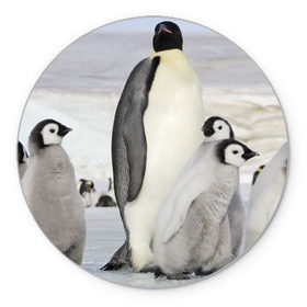 Коврик круглый с принтом Пингвин и пингвинята в Белгороде, резина и полиэстер | круглая форма, изображение наносится на всю лицевую часть | айсберг | антарктида | антарктика | арктика | буревестник | глупый | императорский | клюв | королевский | крылья | ласты | лёд | линукс | океан | пилигрим | полюс | птица | север | снег | умка | фрак