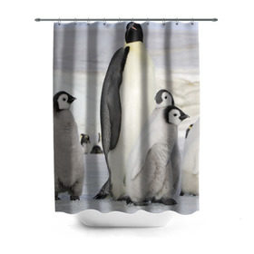 Штора 3D для ванной с принтом Пингвин и пингвинята в Белгороде, 100% полиэстер | плотность материала — 100 г/м2. Стандартный размер — 146 см х 180 см. По верхнему краю — пластиковые люверсы для креплений. В комплекте 10 пластиковых колец | айсберг | антарктида | антарктика | арктика | буревестник | глупый | императорский | клюв | королевский | крылья | ласты | лёд | линукс | океан | пилигрим | полюс | птица | север | снег | умка | фрак