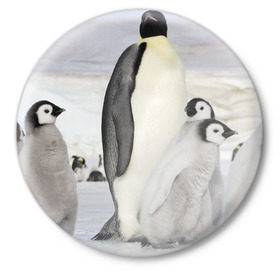 Значок с принтом Пингвин и пингвинята в Белгороде,  металл | круглая форма, металлическая застежка в виде булавки | Тематика изображения на принте: айсберг | антарктида | антарктика | арктика | буревестник | глупый | императорский | клюв | королевский | крылья | ласты | лёд | линукс | океан | пилигрим | полюс | птица | север | снег | умка | фрак