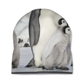 Шапка 3D с принтом Пингвин и пингвинята в Белгороде, 100% полиэстер | универсальный размер, печать по всей поверхности изделия | айсберг | антарктида | антарктика | арктика | буревестник | глупый | императорский | клюв | королевский | крылья | ласты | лёд | линукс | океан | пилигрим | полюс | птица | север | снег | умка | фрак