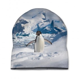 Шапка 3D с принтом Пингвин в горах в Белгороде, 100% полиэстер | универсальный размер, печать по всей поверхности изделия | айсберг | антарктида | антарктика | арктика | буревестник | глупый | императорский | клюв | королевский | крылья | ласты | лёд | линукс | океан | пилигрим | полюс | птица | север | снег | умка | фрак