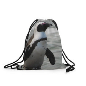 Рюкзак-мешок 3D с принтом Пингвин в Белгороде, 100% полиэстер | плотность ткани — 200 г/м2, размер — 35 х 45 см; лямки — толстые шнурки, застежка на шнуровке, без карманов и подкладки | 