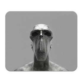 Коврик прямоугольный с принтом Гуманоид в Белгороде, натуральный каучук | размер 230 х 185 мм; запечатка лицевой стороны | head | humanoid | sculpture | голова | идол | инопланетянин | истукан | космос | скульптура | статуя