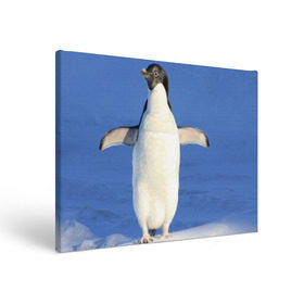 Холст прямоугольный с принтом Пингвин в Белгороде, 100% ПВХ |  | айсберг | антарктида | антарктика | арктика | буревестник | глупый | императорский | клюв | королевский | крылья | ласты | лёд | линукс | океан | пилигрим | полюс | птица | север | снег | умка | фрак