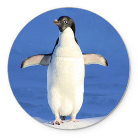 Коврик круглый с принтом Пингвин в Белгороде, резина и полиэстер | круглая форма, изображение наносится на всю лицевую часть | айсберг | антарктида | антарктика | арктика | буревестник | глупый | императорский | клюв | королевский | крылья | ласты | лёд | линукс | океан | пилигрим | полюс | птица | север | снег | умка | фрак