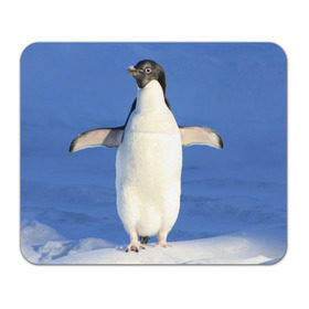 Коврик прямоугольный с принтом Пингвин в Белгороде, натуральный каучук | размер 230 х 185 мм; запечатка лицевой стороны | айсберг | антарктида | антарктика | арктика | буревестник | глупый | императорский | клюв | королевский | крылья | ласты | лёд | линукс | океан | пилигрим | полюс | птица | север | снег | умка | фрак