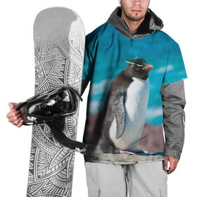Накидка на куртку 3D с принтом Пингвин в Белгороде, 100% полиэстер |  | айсберг | антарктида | антарктика | арктика | буревестник | глупый | императорский | клюв | королевский | крылья | ласты | лёд | линукс | океан | пилигрим | полюс | птица | север | снег | умка | фрак