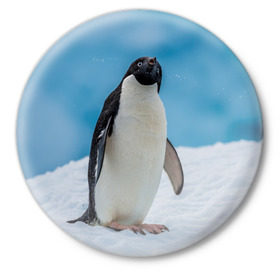 Значок с принтом Пингвин на айсберге в Белгороде,  металл | круглая форма, металлическая застежка в виде булавки | айсберг | антарктида | антарктика | арктика | буревестник | глупый | императорский | клюв | королевский | крылья | ласты | лёд | линукс | океан | пилигрим | полюс | птица | север | снег | умка | фрак