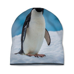 Шапка 3D с принтом Пингвин на айсберге в Белгороде, 100% полиэстер | универсальный размер, печать по всей поверхности изделия | айсберг | антарктида | антарктика | арктика | буревестник | глупый | императорский | клюв | королевский | крылья | ласты | лёд | линукс | океан | пилигрим | полюс | птица | север | снег | умка | фрак