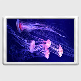 Магнит 45*70 с принтом Розовые медузы в Белгороде, Пластик | Размер: 78*52 мм; Размер печати: 70*45 | аквариум | вода | дайвинг | милые | море | океан | плывет | подводный мир | рыбалка | рыбка | рыбы | стая | фауна