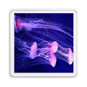 Магнит 55*55 с принтом Розовые медузы в Белгороде, Пластик | Размер: 65*65 мм; Размер печати: 55*55 мм | аквариум | вода | дайвинг | милые | море | океан | плывет | подводный мир | рыбалка | рыбка | рыбы | стая | фауна