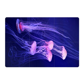 Магнитный плакат 3Х2 с принтом Розовые медузы в Белгороде, Полимерный материал с магнитным слоем | 6 деталей размером 9*9 см | Тематика изображения на принте: аквариум | вода | дайвинг | милые | море | океан | плывет | подводный мир | рыбалка | рыбка | рыбы | стая | фауна