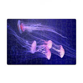Пазл магнитный 126 элементов с принтом Розовые медузы в Белгороде, полимерный материал с магнитным слоем | 126 деталей, размер изделия —  180*270 мм | аквариум | вода | дайвинг | милые | море | океан | плывет | подводный мир | рыбалка | рыбка | рыбы | стая | фауна