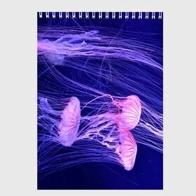 Скетчбук с принтом Розовые медузы в Белгороде, 100% бумага
 | 48 листов, плотность листов — 100 г/м2, плотность картонной обложки — 250 г/м2. Листы скреплены сверху удобной пружинной спиралью | Тематика изображения на принте: аквариум | вода | дайвинг | милые | море | океан | плывет | подводный мир | рыбалка | рыбка | рыбы | стая | фауна