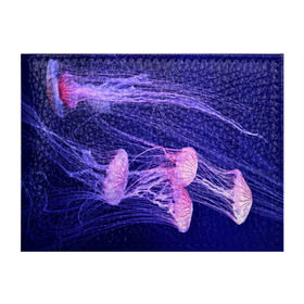 Обложка для студенческого билета с принтом Розовые медузы в Белгороде, натуральная кожа | Размер: 11*8 см; Печать на всей внешней стороне | Тематика изображения на принте: аквариум | вода | дайвинг | милые | море | океан | плывет | подводный мир | рыбалка | рыбка | рыбы | стая | фауна