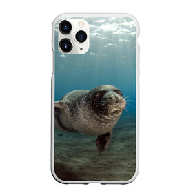 Чехол для iPhone 11 Pro матовый с принтом Тюлень под водой в Белгороде, Силикон |  | вода | дайвинг | жирный | косяк | красивые | милые | море | морская | морской котик | океан | плывет | подводный мир | прикольные | речная | рыба | рыбалка | стая | тюлень | усатый кот | фауна | чешуя