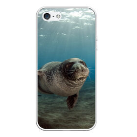 Чехол для iPhone 5/5S матовый с принтом Тюлень под водой в Белгороде, Силикон | Область печати: задняя сторона чехла, без боковых панелей | вода | дайвинг | жирный | косяк | красивые | милые | море | морская | морской котик | океан | плывет | подводный мир | прикольные | речная | рыба | рыбалка | стая | тюлень | усатый кот | фауна | чешуя