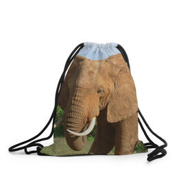 Рюкзак-мешок 3D с принтом Слон в Белгороде, 100% полиэстер | плотность ткани — 200 г/м2, размер — 35 х 45 см; лямки — толстые шнурки, застежка на шнуровке, без карманов и подкладки | Тематика изображения на принте: 