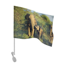 Флаг для автомобиля с принтом Слониха и слоненок в природе в Белгороде, 100% полиэстер | Размер: 30*21 см | африка | африканский | бивни | большой | гигант джунгли | зоопарк | индийский | индия | лесной великан | мамонт | огромный | саванна | сафари | серый | слон | слоненок | слониха | стадо | уши | хобот