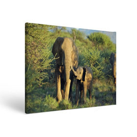 Холст прямоугольный с принтом Слониха и слоненок в природе в Белгороде, 100% ПВХ |  | африка | африканский | бивни | большой | гигант джунгли | зоопарк | индийский | индия | лесной великан | мамонт | огромный | саванна | сафари | серый | слон | слоненок | слониха | стадо | уши | хобот