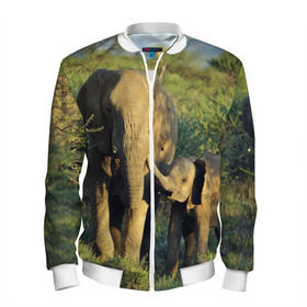 Мужской бомбер 3D с принтом Слониха и слоненок в природе в Белгороде, 100% полиэстер | застегивается на молнию, по бокам два кармана без застежек, по низу бомбера и на воротнике - эластичная резинка | африка | африканский | бивни | большой | гигант джунгли | зоопарк | индийский | индия | лесной великан | мамонт | огромный | саванна | сафари | серый | слон | слоненок | слониха | стадо | уши | хобот