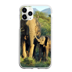 Чехол для iPhone 11 Pro матовый с принтом Слониха и слоненок в природе в Белгороде, Силикон |  | африка | африканский | бивни | большой | гигант джунгли | зоопарк | индийский | индия | лесной великан | мамонт | огромный | саванна | сафари | серый | слон | слоненок | слониха | стадо | уши | хобот