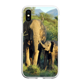 Чехол для iPhone XS Max матовый с принтом Слониха и слоненок в природе в Белгороде, Силикон | Область печати: задняя сторона чехла, без боковых панелей | африка | африканский | бивни | большой | гигант джунгли | зоопарк | индийский | индия | лесной великан | мамонт | огромный | саванна | сафари | серый | слон | слоненок | слониха | стадо | уши | хобот