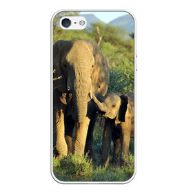Чехол для iPhone 5/5S матовый с принтом Слониха и слоненок в природе в Белгороде, Силикон | Область печати: задняя сторона чехла, без боковых панелей | африка | африканский | бивни | большой | гигант джунгли | зоопарк | индийский | индия | лесной великан | мамонт | огромный | саванна | сафари | серый | слон | слоненок | слониха | стадо | уши | хобот