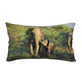 Подушка 3D антистресс с принтом Слониха и слоненок в природе в Белгороде, наволочка — 100% полиэстер, наполнитель — вспененный полистирол | состоит из подушки и наволочки на молнии | африка | африканский | бивни | большой | гигант джунгли | зоопарк | индийский | индия | лесной великан | мамонт | огромный | саванна | сафари | серый | слон | слоненок | слониха | стадо | уши | хобот
