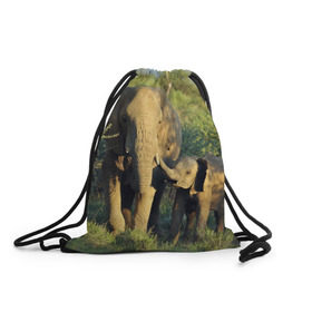 Рюкзак-мешок 3D с принтом Слониха и слоненок в природе в Белгороде, 100% полиэстер | плотность ткани — 200 г/м2, размер — 35 х 45 см; лямки — толстые шнурки, застежка на шнуровке, без карманов и подкладки | африка | африканский | бивни | большой | гигант джунгли | зоопарк | индийский | индия | лесной великан | мамонт | огромный | саванна | сафари | серый | слон | слоненок | слониха | стадо | уши | хобот
