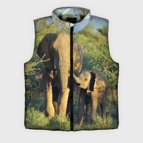 Мужской жилет утепленный 3D с принтом Слониха и слоненок в природе в Белгороде,  |  | африка | африканский | бивни | большой | гигант джунгли | зоопарк | индийский | индия | лесной великан | мамонт | огромный | саванна | сафари | серый | слон | слоненок | слониха | стадо | уши | хобот