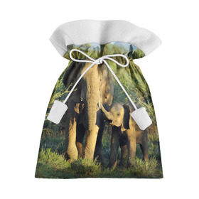Подарочный 3D мешок с принтом Слониха и слоненок в природе в Белгороде, 100% полиэстер | Размер: 29*39 см | африка | африканский | бивни | большой | гигант джунгли | зоопарк | индийский | индия | лесной великан | мамонт | огромный | саванна | сафари | серый | слон | слоненок | слониха | стадо | уши | хобот