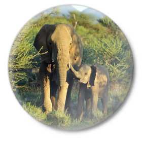 Значок с принтом Слониха и слоненок в природе в Белгороде,  металл | круглая форма, металлическая застежка в виде булавки | африка | африканский | бивни | большой | гигант джунгли | зоопарк | индийский | индия | лесной великан | мамонт | огромный | саванна | сафари | серый | слон | слоненок | слониха | стадо | уши | хобот