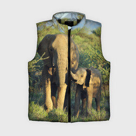 Женский жилет утепленный 3D с принтом Слониха и слоненок в природе в Белгороде,  |  | африка | африканский | бивни | большой | гигант джунгли | зоопарк | индийский | индия | лесной великан | мамонт | огромный | саванна | сафари | серый | слон | слоненок | слониха | стадо | уши | хобот