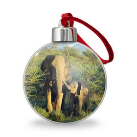 Ёлочный шар с принтом Слониха и слоненок в природе в Белгороде, Пластик | Диаметр: 77 мм | африка | африканский | бивни | большой | гигант джунгли | зоопарк | индийский | индия | лесной великан | мамонт | огромный | саванна | сафари | серый | слон | слоненок | слониха | стадо | уши | хобот