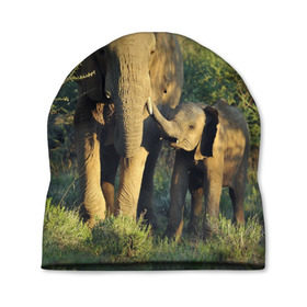 Шапка 3D с принтом Слониха и слоненок в природе в Белгороде, 100% полиэстер | универсальный размер, печать по всей поверхности изделия | африка | африканский | бивни | большой | гигант джунгли | зоопарк | индийский | индия | лесной великан | мамонт | огромный | саванна | сафари | серый | слон | слоненок | слониха | стадо | уши | хобот