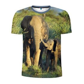 Мужская футболка 3D спортивная с принтом Слониха и слоненок в природе в Белгороде, 100% полиэстер с улучшенными характеристиками | приталенный силуэт, круглая горловина, широкие плечи, сужается к линии бедра | Тематика изображения на принте: африка | африканский | бивни | большой | гигант джунгли | зоопарк | индийский | индия | лесной великан | мамонт | огромный | саванна | сафари | серый | слон | слоненок | слониха | стадо | уши | хобот
