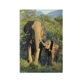 Обложка для паспорта матовая кожа с принтом Слониха и слоненок в природе в Белгороде, натуральная матовая кожа | размер 19,3 х 13,7 см; прозрачные пластиковые крепления | Тематика изображения на принте: африка | африканский | бивни | большой | гигант джунгли | зоопарк | индийский | индия | лесной великан | мамонт | огромный | саванна | сафари | серый | слон | слоненок | слониха | стадо | уши | хобот