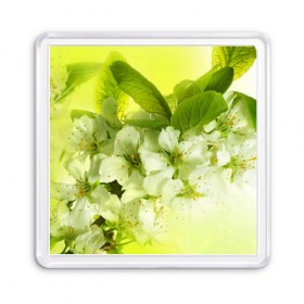Магнит 55*55 с принтом Цветы яблони в Белгороде, Пластик | Размер: 65*65 мм; Размер печати: 55*55 мм | белый | весна | дерево | зеленый | природа | растения | цветы | яблоня