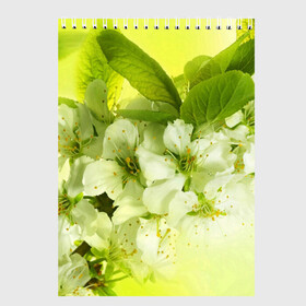 Скетчбук с принтом Цветы яблони в Белгороде, 100% бумага
 | 48 листов, плотность листов — 100 г/м2, плотность картонной обложки — 250 г/м2. Листы скреплены сверху удобной пружинной спиралью | белый | весна | дерево | зеленый | природа | растения | цветы | яблоня