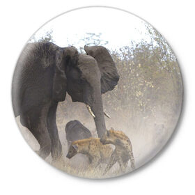 Значок с принтом Гиены охотятся на слона в Белгороде,  металл | круглая форма, металлическая застежка в виде булавки | Тематика изображения на принте: африка | африканский | бивни | большой | гигант джунгли | гиены | индийский | индия | лесной великан | мамонт | огромный | охота | саванна | сафари | серый | слон | слониха | стадо | уши | хобот