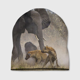 Шапка 3D с принтом Гиены охотятся на слона в Белгороде, 100% полиэстер | универсальный размер, печать по всей поверхности изделия | африка | африканский | бивни | большой | гигант джунгли | гиены | индийский | индия | лесной великан | мамонт | огромный | охота | саванна | сафари | серый | слон | слониха | стадо | уши | хобот