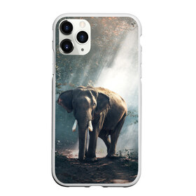 Чехол для iPhone 11 Pro матовый с принтом Слон в лесу в Белгороде, Силикон |  | африка | африканский | бивни | большой | гигант джунгли | зоопарк | индийский | индия | лесной великан | мамонт | огромный | саванна | сафари | серый | слон | слоненок | слониха | стадо | уши | хобот