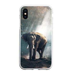 Чехол для iPhone XS Max матовый с принтом Слон в лесу в Белгороде, Силикон | Область печати: задняя сторона чехла, без боковых панелей | африка | африканский | бивни | большой | гигант джунгли | зоопарк | индийский | индия | лесной великан | мамонт | огромный | саванна | сафари | серый | слон | слоненок | слониха | стадо | уши | хобот