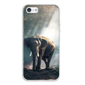 Чехол для iPhone 5/5S матовый с принтом Слон в лесу в Белгороде, Силикон | Область печати: задняя сторона чехла, без боковых панелей | африка | африканский | бивни | большой | гигант джунгли | зоопарк | индийский | индия | лесной великан | мамонт | огромный | саванна | сафари | серый | слон | слоненок | слониха | стадо | уши | хобот