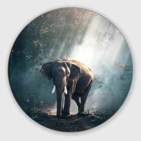 Коврик круглый с принтом Слон в лесу в Белгороде, резина и полиэстер | круглая форма, изображение наносится на всю лицевую часть | Тематика изображения на принте: африка | африканский | бивни | большой | гигант джунгли | зоопарк | индийский | индия | лесной великан | мамонт | огромный | саванна | сафари | серый | слон | слоненок | слониха | стадо | уши | хобот