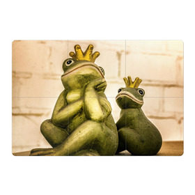 Магнитный плакат 3Х2 с принтом Лягушка в Белгороде, Полимерный материал с магнитным слоем | 6 деталей размером 9*9 см | жаба | животные | лягушка | природа