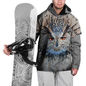 Накидка на куртку 3D с принтом Сова в Белгороде, 100% полиэстер |  | глаза | клюв | когти | крылья | лес | летать | мудрая | мудрость | неясыть | ночная | ночь | охота | перья | полярная | почтовая | птица | серая | сова | совенок | сон | сыч | умная | филин | хищник