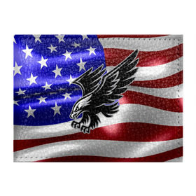 Обложка для студенческого билета с принтом Флаг США с орлом в Белгороде, натуральная кожа | Размер: 11*8 см; Печать на всей внешней стороне | Тематика изображения на принте: usa | америка | белоголовый | герб | государство | доллар | дядя сэм | звездно полосатый флаг | лысый | нато | оон | орел | птица | свобода | символ | соединённые штаты америки | страна | сша | штат