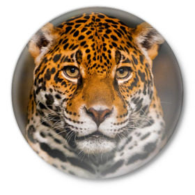 Значок с принтом Jaguar в Белгороде,  металл | круглая форма, металлическая застежка в виде булавки | глаза | дикая кошка | кошка | леопард | сафари | хищник | ягуар